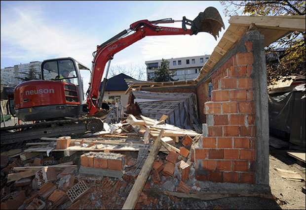 Дивљи градитељи у мишјој рупи
