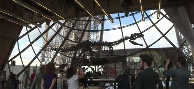 Скелет диносауруса продат за 2,3 милиона долара