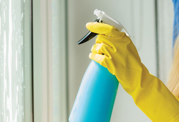 Да прозори заблистају