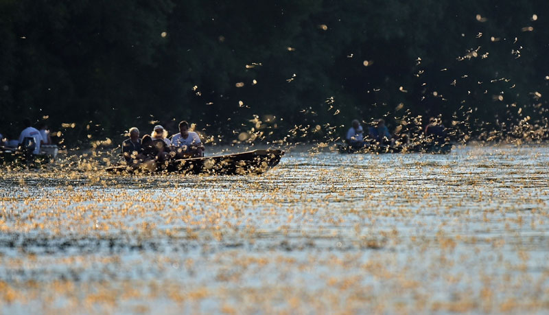Зов љубави јачи од хладне воде