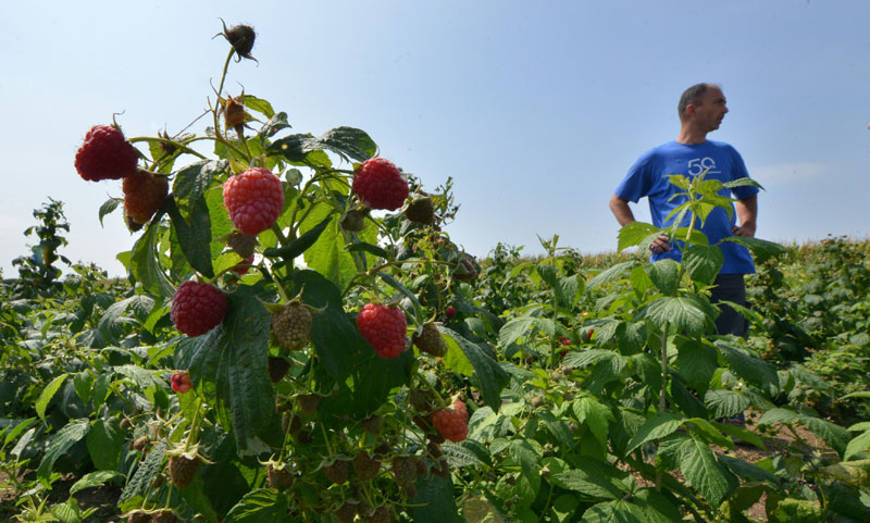 Малинари поверовали на часну реч
