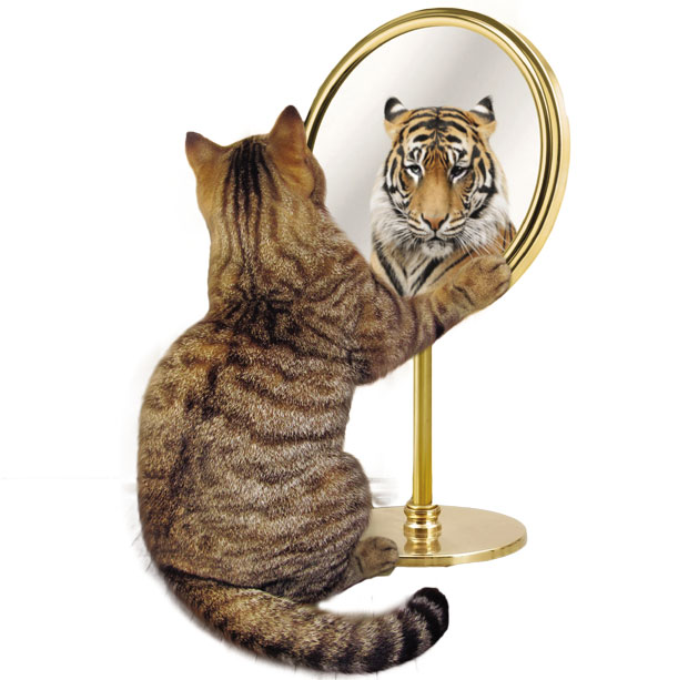 Да ли сте нарцис?