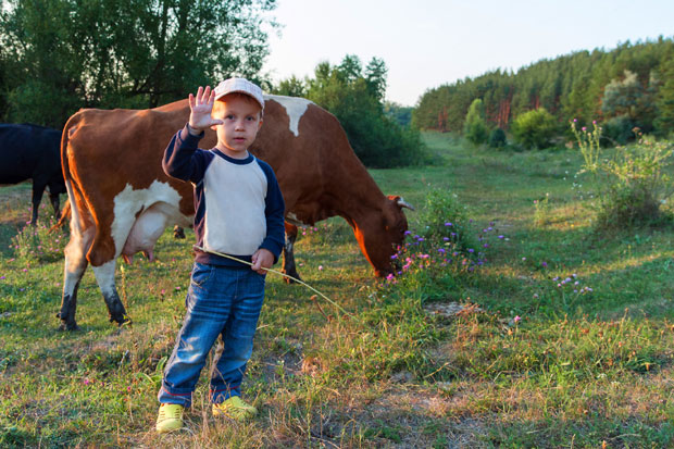 Млађи од 15 не смеју у чобане