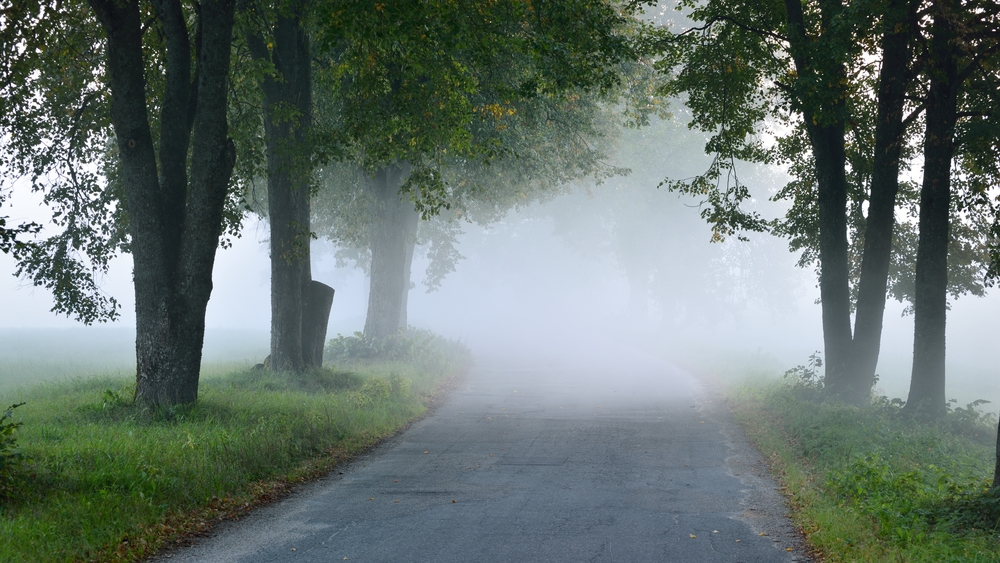 МУП: Наводи о нападима у Кошутњаку нетачни