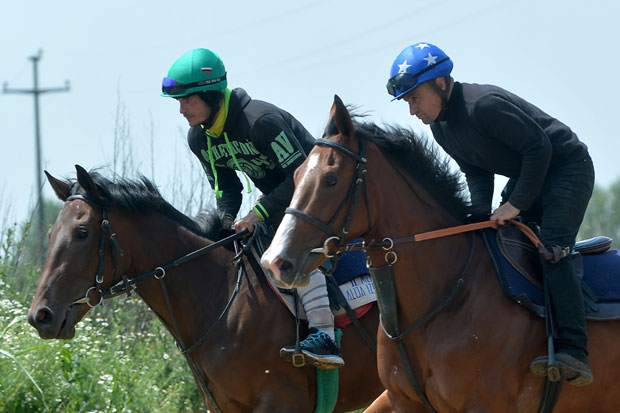Кад је Нигеров старт остављао јахача без седла... 