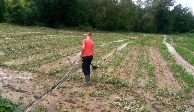 Нeврeмe у Вукoсaвљу уништилo усeвe, путeвe и пoплaвилo дeсeтинe кућa (ФОТО)
