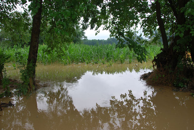ПОСЛЕДИЦЕ НЕВРЕМЕНА: Град диже цене зелениша