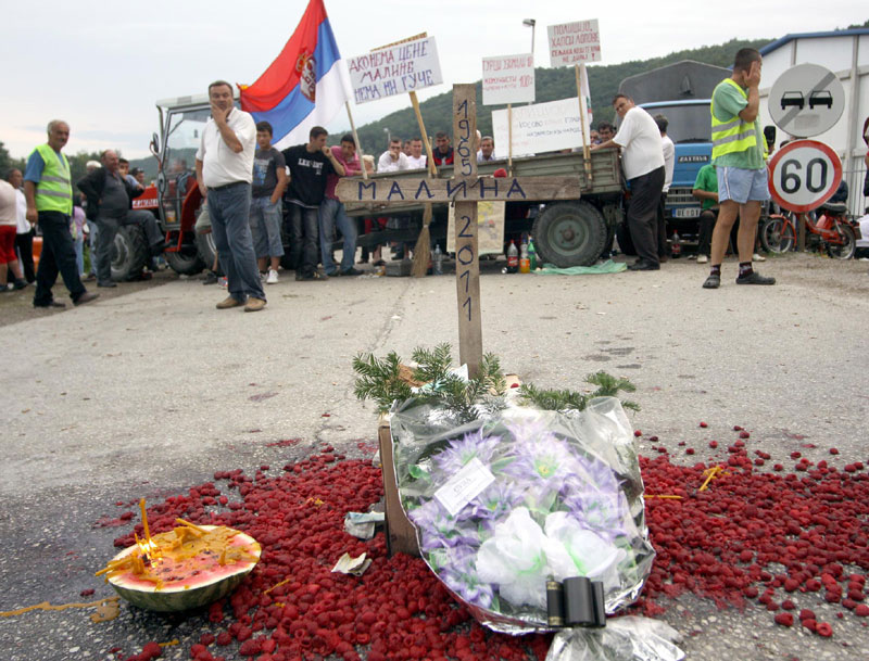 Картели убили малине