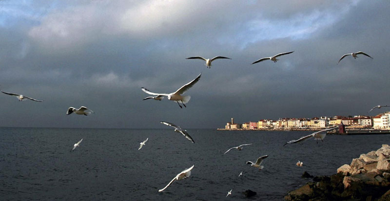 БРИСЕЛ ПЕРЕ РУКЕ: Европска комисија неутрална у спору Хрватске и Словеније