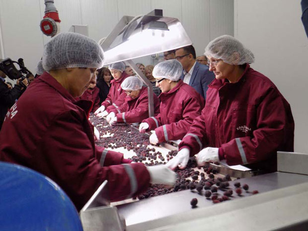 Потрага за берачима