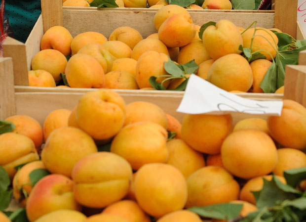 ВОЋАРИ СТРЕПЕ: Град “убрао” кајсије, а још нема откупне цене