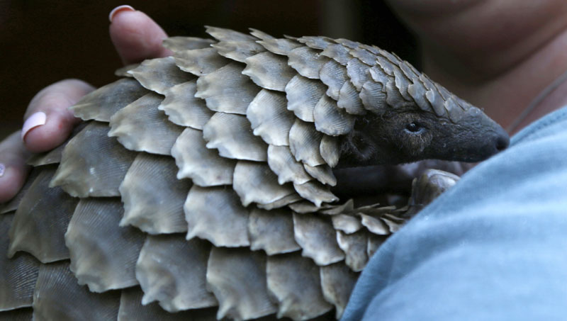 Заплењене хиљаде животиња, у акцији 92 земље