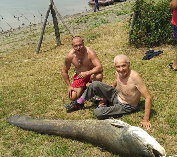 КАПИТАЛАЦ: Сома од 117 кг упецали на три зрна кукуруза