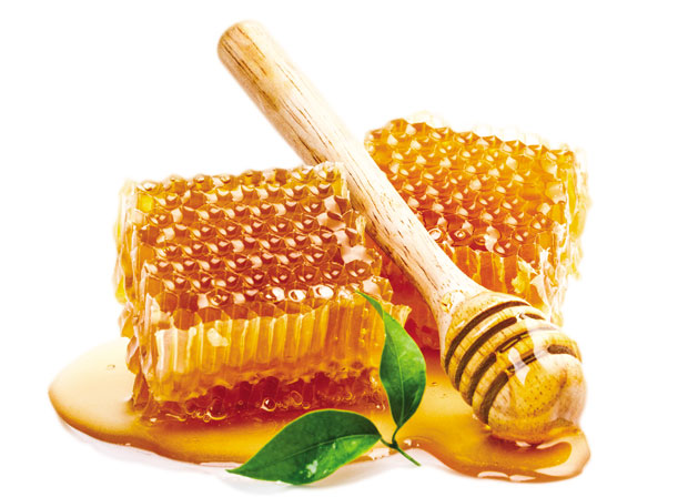 Kашика меда сваког дана