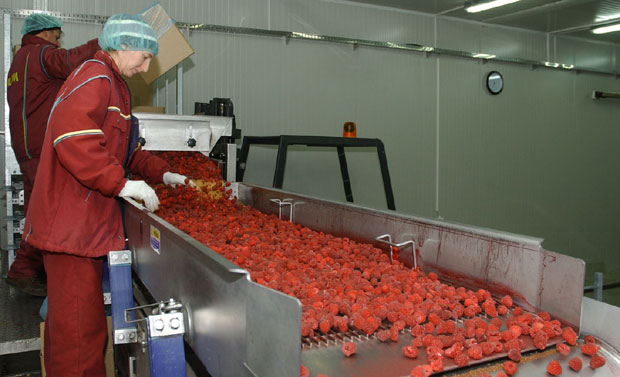 Краљеви малине јачи од државе