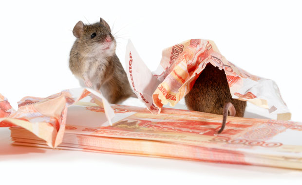 Пацов појео 19.000 долара у банкомату