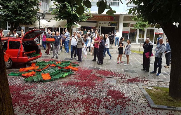 Решен откуп воћа на северу Црне Горе: Малине беру ћате