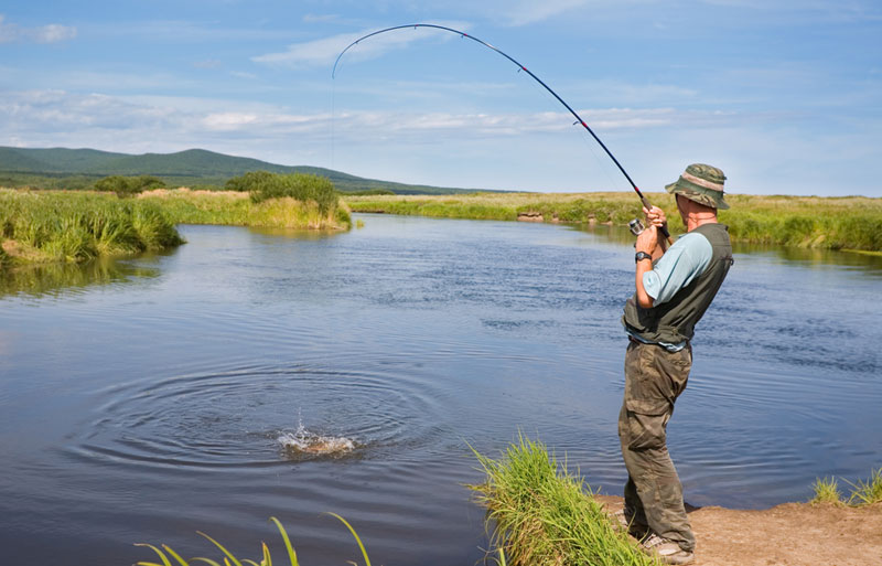 WWF за забрану излова кечиге у Србији на пет година