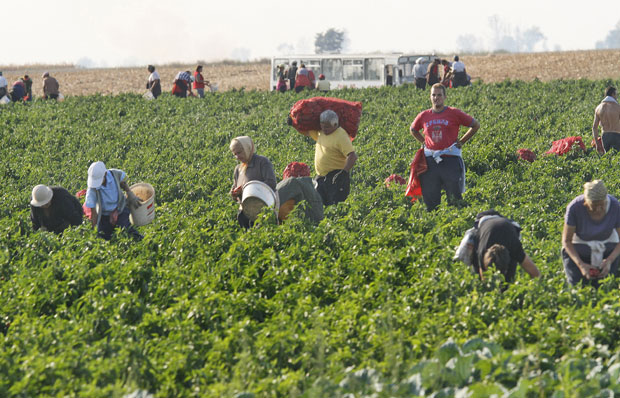 Сезонце неће брисати из евиденције незапослених