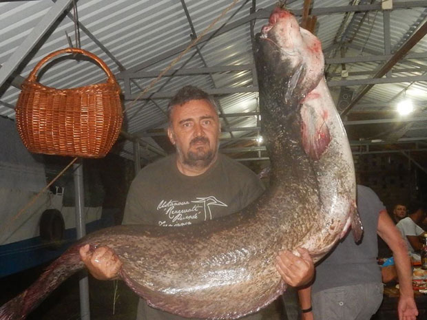 Уживање на обали Тисе