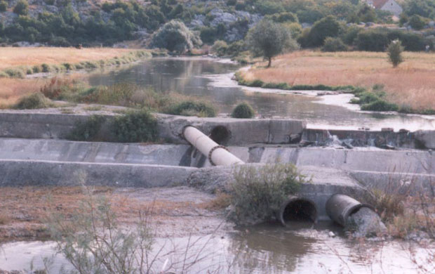 ЦГ: Еко-фонд за еко-државу