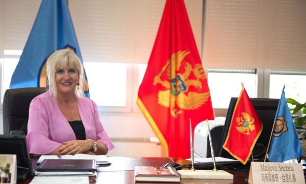 Оставка дели Тивћане