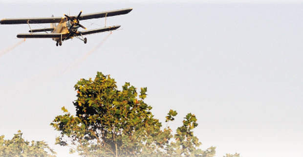 Удар вируса Западног Нила у августу