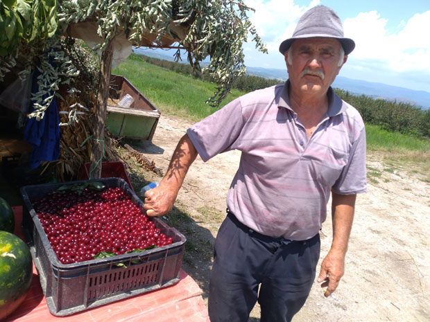 Половина прокупачких вишања необрана