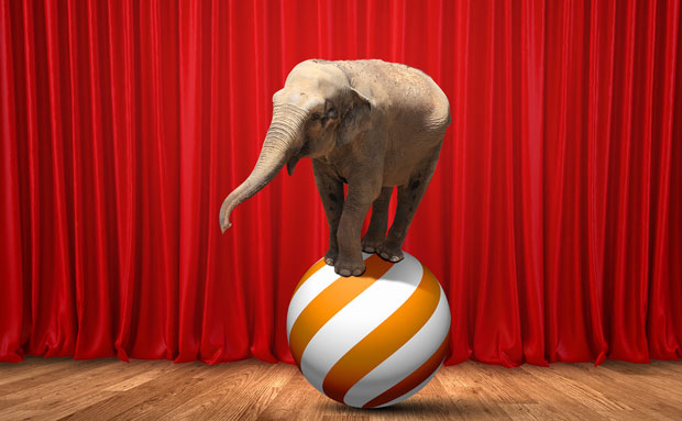 Немачка: Циркуски слон гурнуо другог слона у шокирану публику (ВИДЕО)