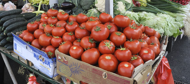 Лесковачки парадајз на трпезама у Грчкој, Црној Гори, Албанији...