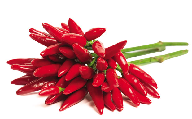 Расхладиће вас љута папричица!