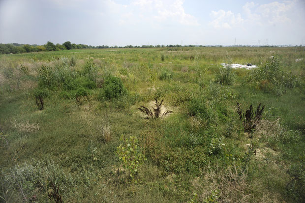 Национални стадион 2020!