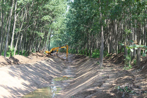 Штит од поплава