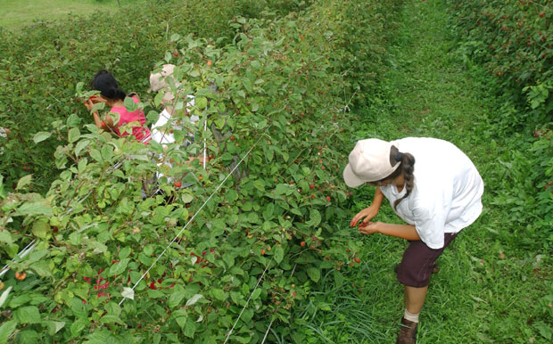 Млади хоће да зараде али из канцеларије