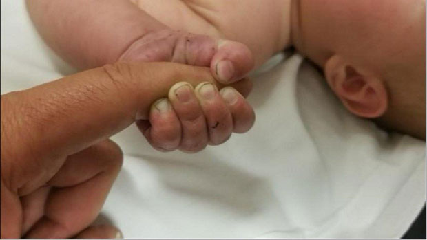 Беба затрпана грањем у шуми, нађена после девет сати