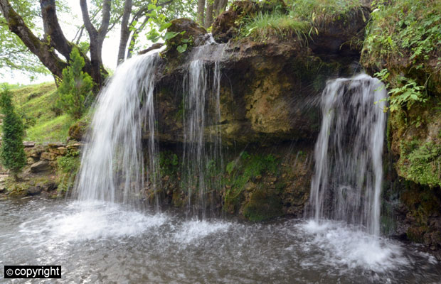 Градац лечио и краља Драгутина