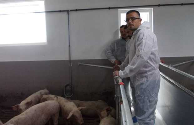 Светски ниво това у Засавици