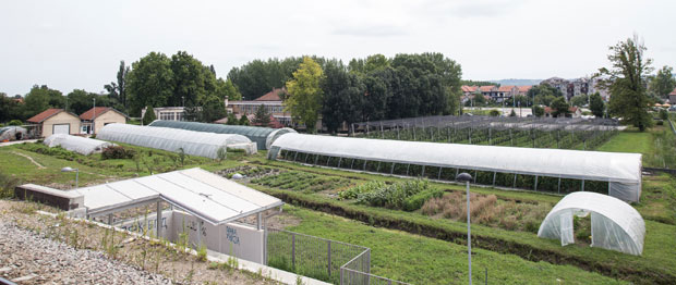 Учионица у воћњаку и пластенику