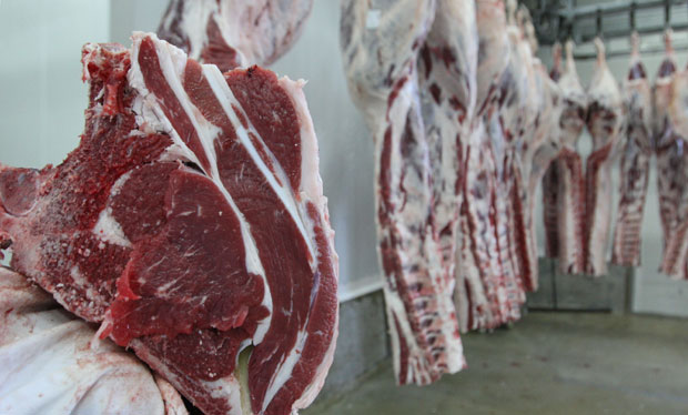 Турци воле наше шницле