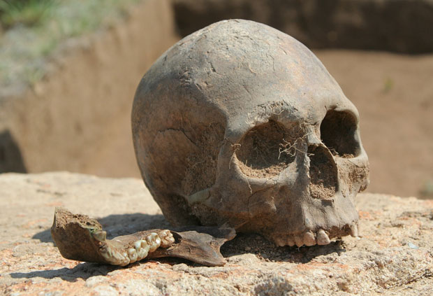 Радници пронашли закопану људску лобању (ФОТО / ВИДЕО)