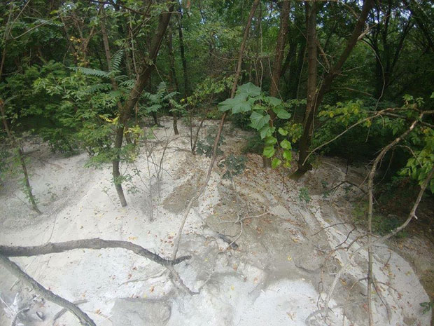 ЕКОЛОШКИ ИНЦИДЕНТ НА КОШУТЊАКУ: Непознате особе испразниле мешалицу и забетонирале дрвеће