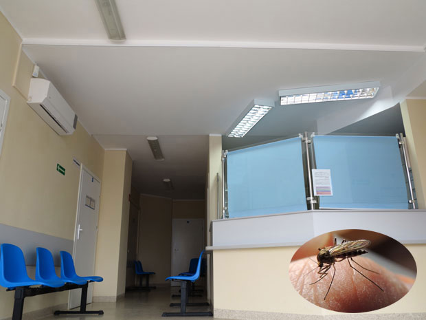 У Војводини 25 заражених грозницом Западног Нила