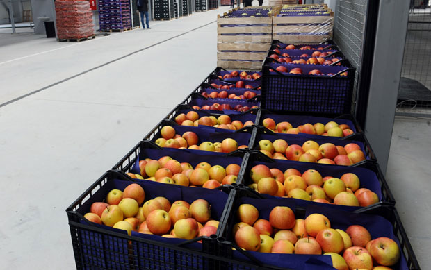 КОНТРАМЕРЕ СКОПЉА: Македонија обуставила извоз воћа и поврћа на Космет