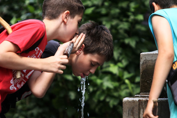Чесме у Војводини без загађења