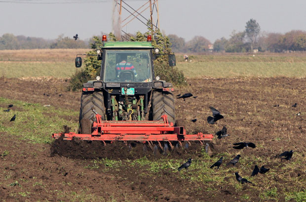 Сточарима већина њива
