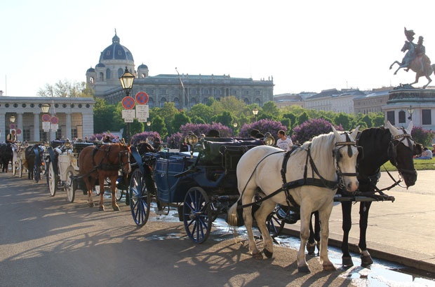 Пластичне ципеле за бечке фијакере