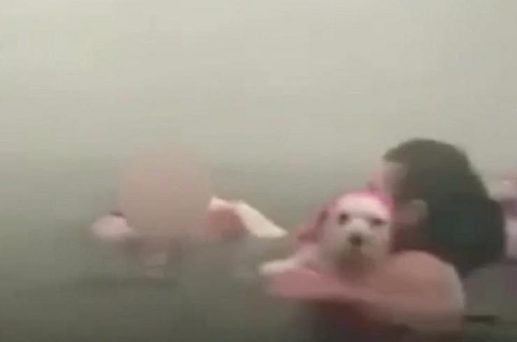 ИСПЛИВАЛИ ПРВИ СНИМЦИ ЉУДИ КАКО БЕЖЕ У МОРЕ: Очајнички бег пред ватреном стихијом надомак Атине (ВИДЕО)