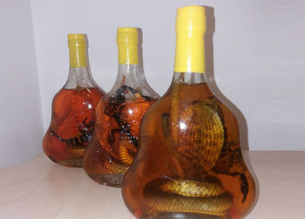 Обрћу милионе на егзотичним животињама!