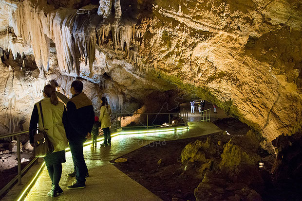 Липска пећина пуна гостију