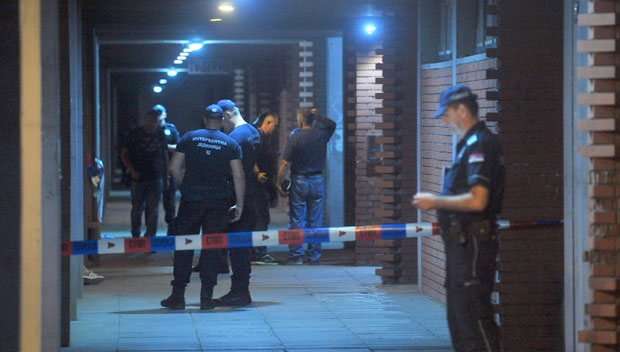 Чешљали списе да открију траг до убица Огњановића